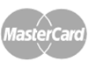 MasterCard Icon