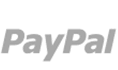 PayPal Icon
