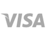 Visa ICon