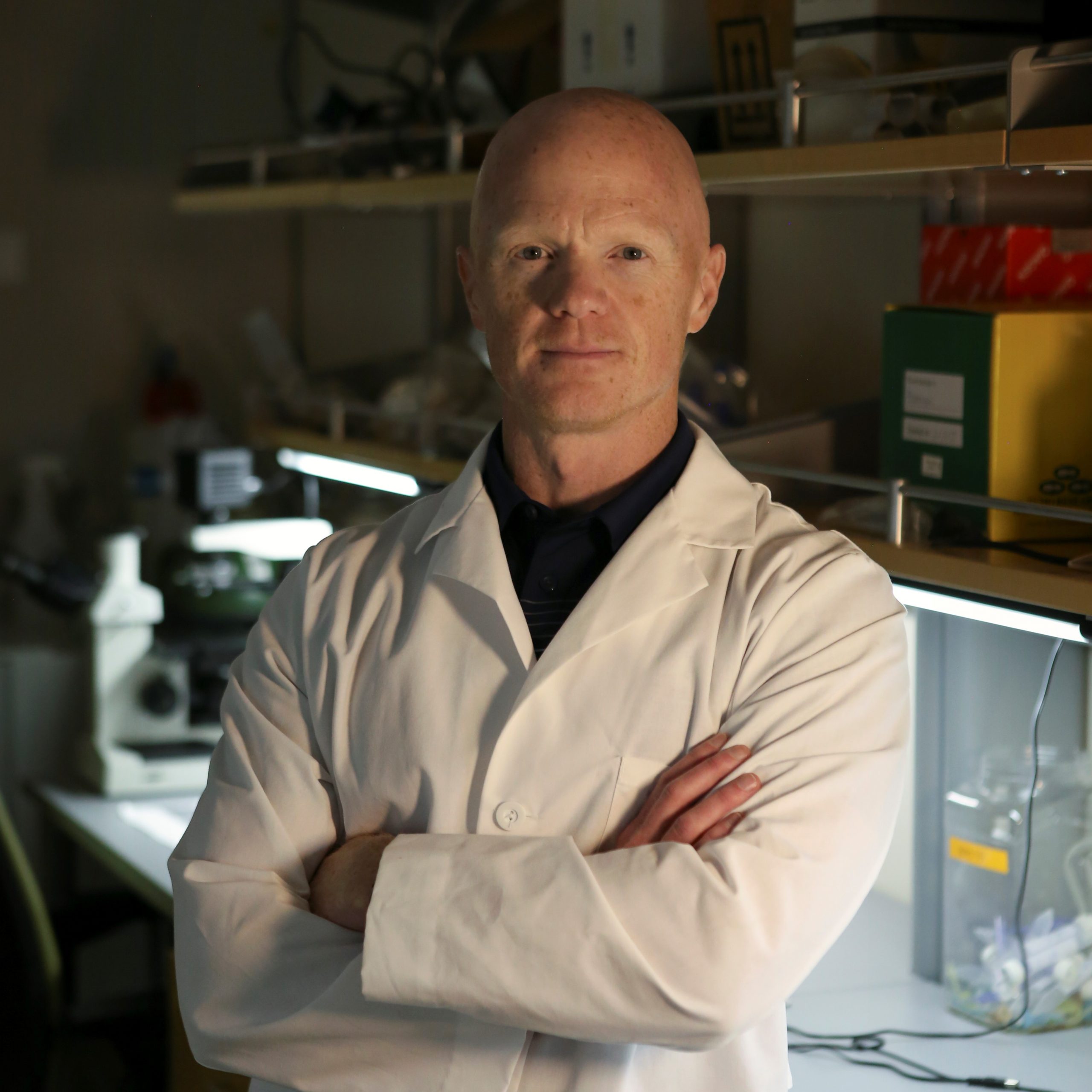 Dr. Ben Bikman